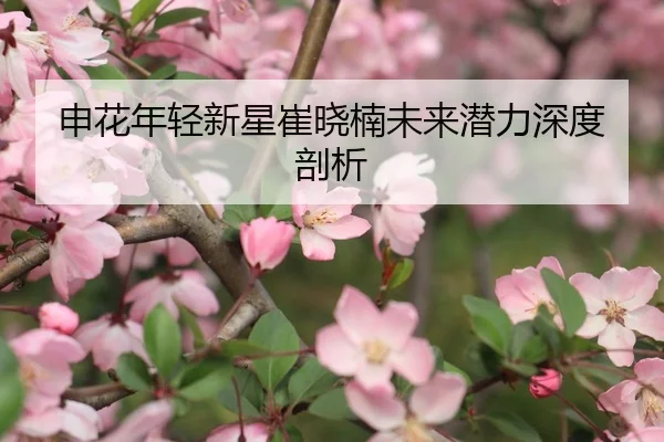 申花年轻新星崔晓楠未来潜力深度剖析